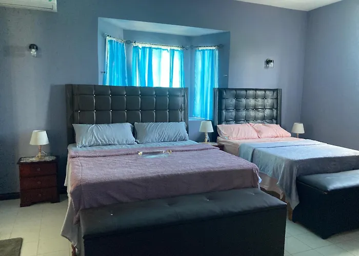 Blue Flamingo * Montego Bay