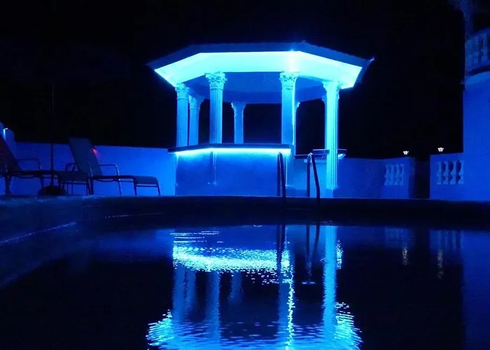 Blue Flamingo * Montego Bay